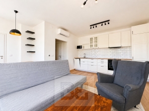 Rent flats 2+KT 50 m², Brno - Ponava