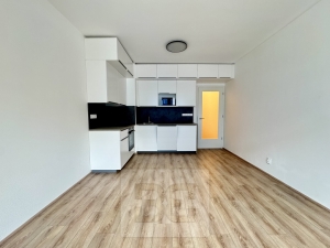 Rent flats 1+KT 35 m², Brno - Zábrdovice