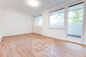 Rent flat 3+KK 59 m², Praha - Žižkov