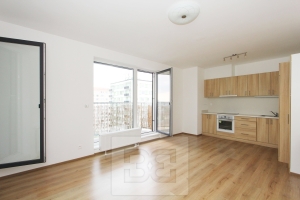 Spacious 2-bedroom apartment with a magnificent view! Nad úžlabinou Street, Prague 10