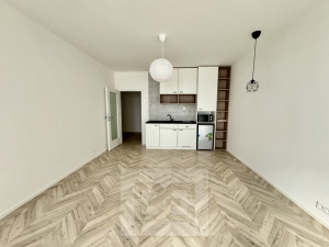 Pronájem byty 1+kk, 38 m² - Brno - Zábrdovice