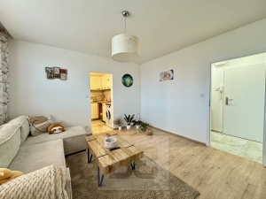 Rent flats 2+1, 47 m² - Hodonín