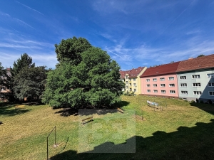 Světlý byt 2+1 po rekonstrukci | Zahrada, 2 sklepy, meandr i centrum pár minut od domu