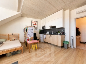 Rent flats 1+KT 38 m², Brno - Líšeň