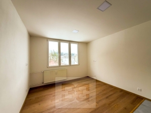Pronájem zkenkonstruovaného 1+kk 23 m² v Dolní Bělé