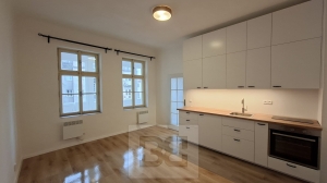 Pronájem bytu 1+kk 25 m², Praha - Podolí