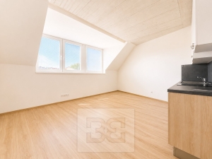 Rent flats 1+KT 38 m², Brno - Líšeň
