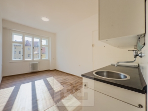 Pronájem bytu 1+1 47 m², Praha - Nové Město