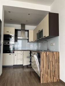 Prostorne a svetle 2+kk, 53 m² - Plzeň - Černice