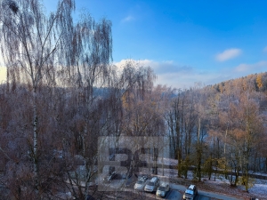 Pronájem bytu 3+kk 68 m², Cheb