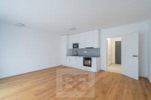 Pronájem bytu 1+kk 43 m², Praha - Košíře