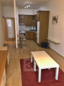 Very nice one-bed apt., 60sq.m. balcony, Prague 3, FULLY FURNISHED