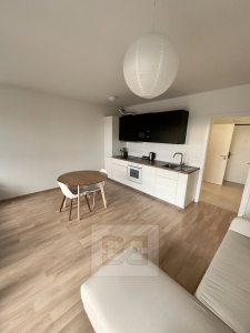 Beautiful 1+kk apartment with balcony, Prague 3 - Žižkov, Olga Havlové street