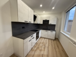 Rent flats 3+Kk 67 m², Písek