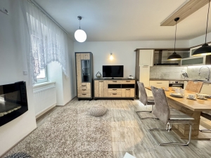 Rent flats 3+KT 80 m², Brno - Černá Pole