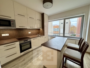 Rent flats 1+KT 44 m², Zlín