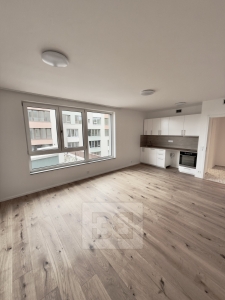 Pronájem bytu 1+kk 37 m², Praha - Radlice
