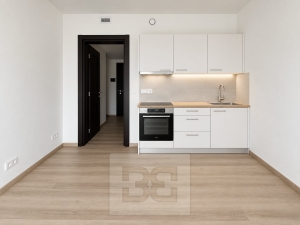 Pronájem bytu 1+kk 35 m², Olomouc - Nová Ulice