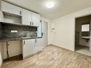 Rent commercial Surgery, 16 m² - Střelice