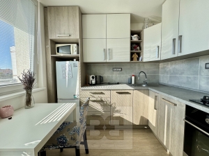 Pronájem bytu 1+1 33 m², Olomouc - Nová Ulice