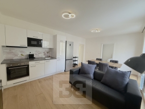 Apartment for rent 2+Kk 48 m², Praha - Vinohrady