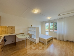 Furnished studio at Horní Měcholupy with a balcony