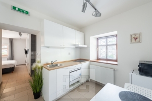 Renting a 1+1 apartment under Karlštejn Castle