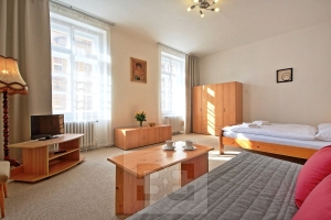 Spacious and sunny apartment a few steps from the National Theatre