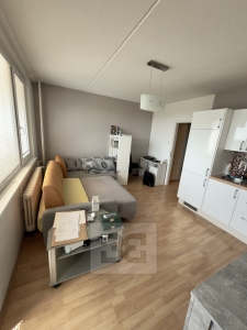 Apartment for rent 1+kk 27 m², Prague - Troja