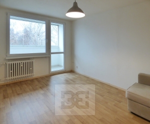 Sunny 1+1 in Prague 4