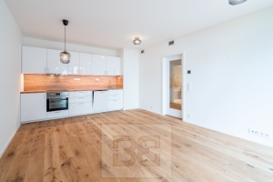 Rent flats 2+KT 55 m², Praha - Radlice