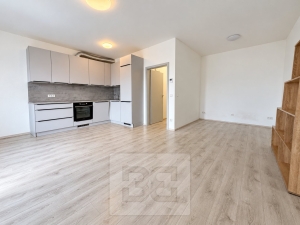 Krásný, nový byt 1+kk (44m²) na Ulici Wolkerova s garážovým stáním