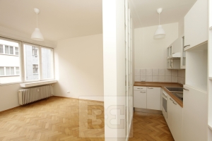 Studio bedroom apartment for rent, Vinařská, Prague 7