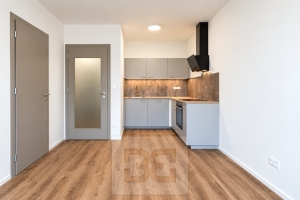 Pronájem bytu 2+kk 41 m², Praha - Černý Most