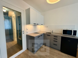 Apartment for rent 1+kk  25 m², Praha - Strašnice