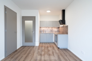 Rent flats 2+KT 41 m², Praha - Černý Most