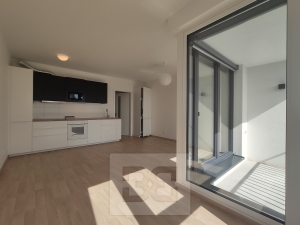 Rent flats 1+KT 37 m², Praha - Žižkov
