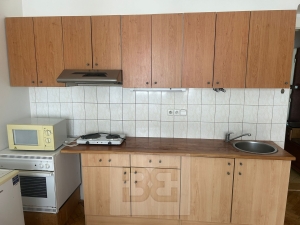 Apartment for rent 1+kk 28 m², Prague - Nusle