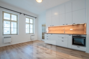 Pronájem bytu 1+kk 25 m², Praha - Podolí