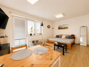 Rent flats 1+KT 31 m², Slavkov u Brna