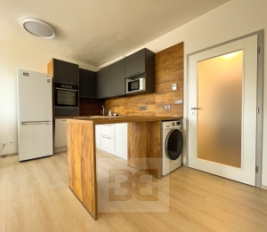 Pronájem designového bytu 1+kk 33 m², Plzeň - Jižní Předměstí