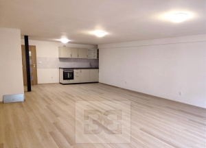 Rent flats 2+KT 75 m², Mohelnice