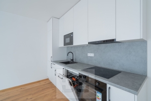 Rent flats 1+KT 43 m², Praha - Košíře