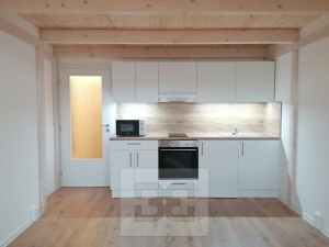 Rent flats 1+KT 30 m², Ostrava - Přívoz