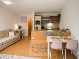 Rent flats 2+KT 45 m², Brno - Židenice