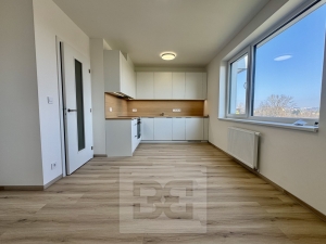 Rent flats 1+KT 37 m², Brno - Horní Heršpice