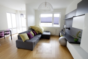 Apartment for rent 2+kk 59 m² with garage parking included in the price