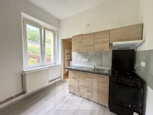 Pronájem byty 2+1, 43 m² - Děčín IV-Podmokly