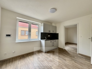 Rent commercial Surgery, 50 m² - Střelice