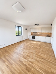 Pronájem bytu 2+kk 55 m², Kladno